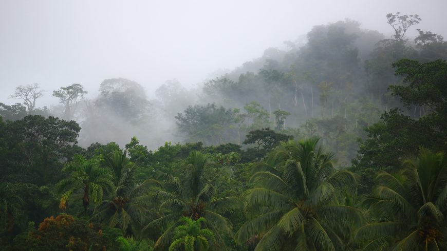Charla sobre las Emisiones de Dióxido de Carbono por Deforestación y Degradación de Bosques en Nicaragua