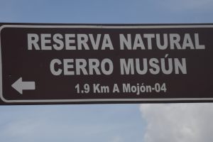Demarcacion_CerroMusun-8
