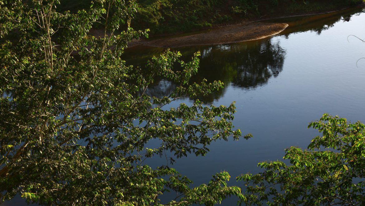 Estrategia Nacional ENDE-REDD+