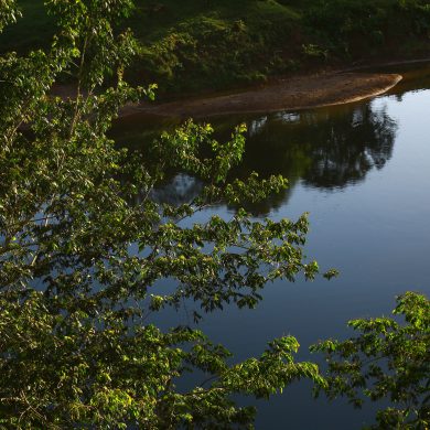 Estrategia Nacional ENDE-REDD+