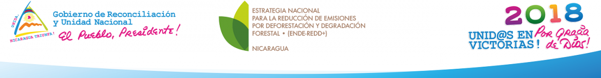 Banner-Encabezado-v2-1.png