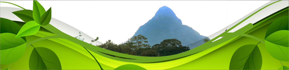 Banner-Marena-1-2.png