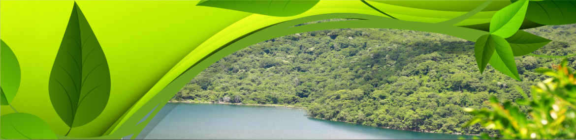 Banner-Marena-1-3.png