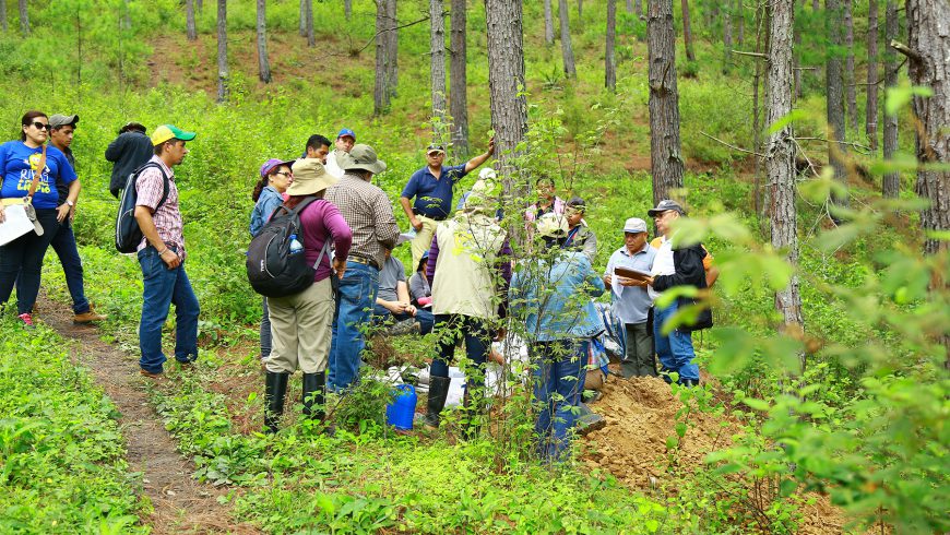 Charla sobre economía de la restauración forestal y monitoreo de los Bosque