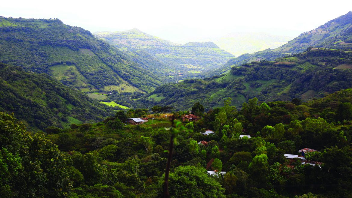 Sistema Nacional de Monitoreo de Bosques