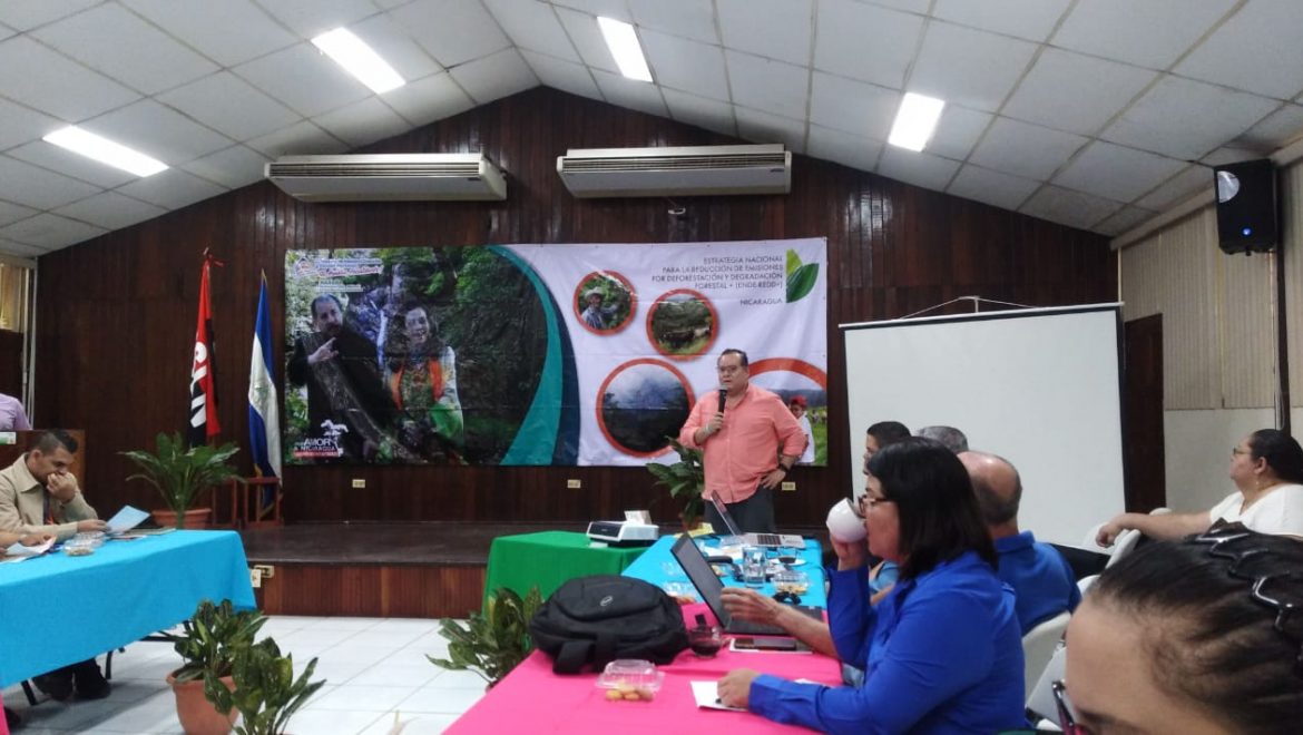 PRESENTAN LINEA BASE DE EMISIONES DE GASES DE EFECTO DE INVERNADERO PROVENIENTES DE LA  DEFORESTACIÓN Y  DEGRADACION FORESTAL DE NICARAGUA