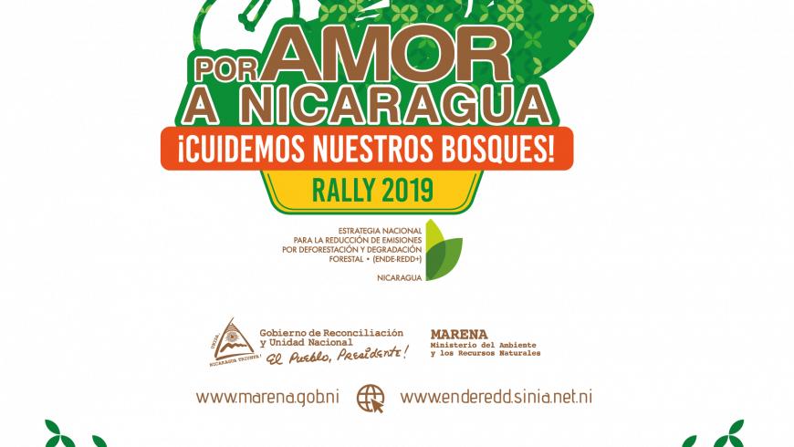 01-arte-banner-rally-2019-01.png