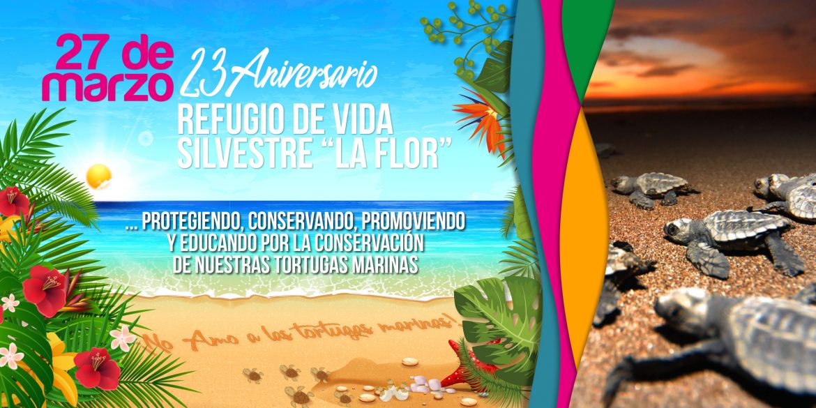 01-adds-1200x600-dia-laflor.jpg