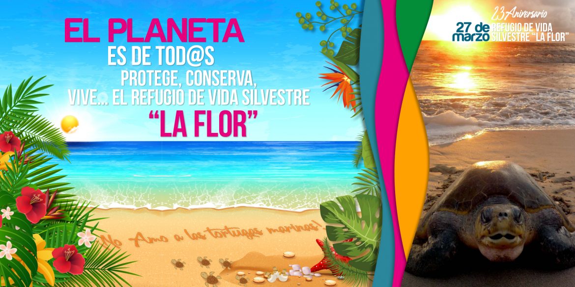 01-adds-1200x600-dia-laflor5.jpg
