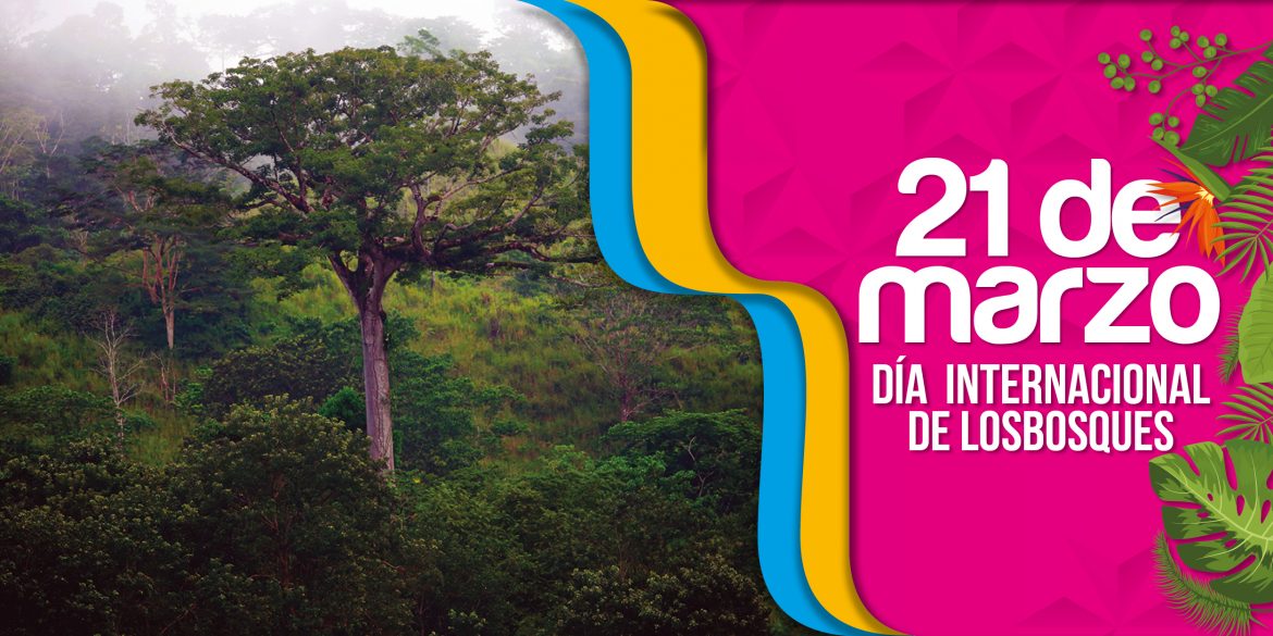 03-adds-1200x600-dia-bosques-1.jpg