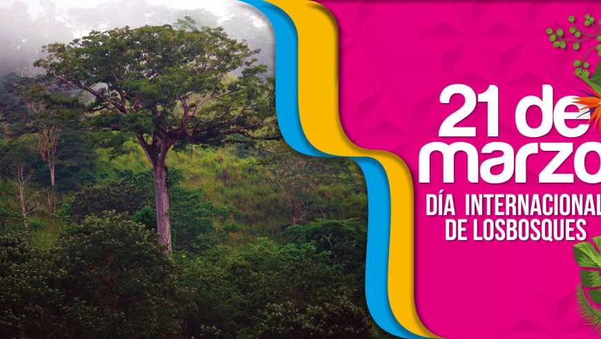 Programa ENDE-REDD+, protegiendo nuestros bosques y conservando la biodiversidad en Nicaragua.