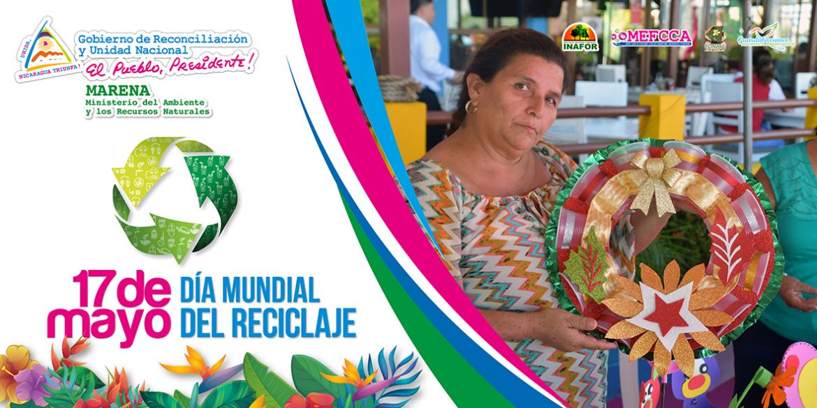 01-adds-1200x600-dia-reforestación.jpg