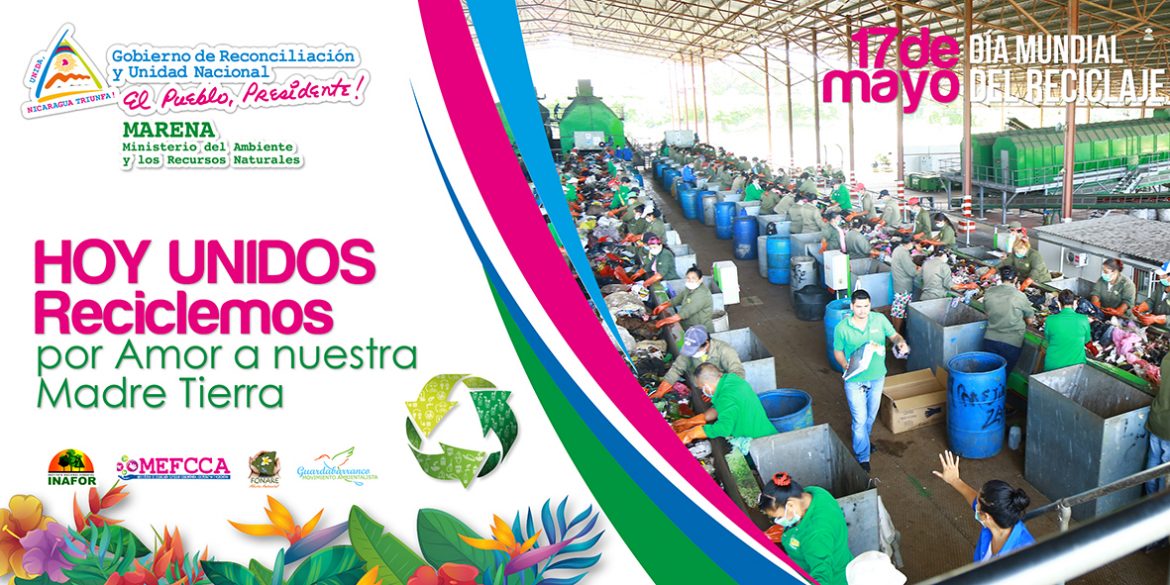 01-adds-1200x600-dia-reforestación3.jpg