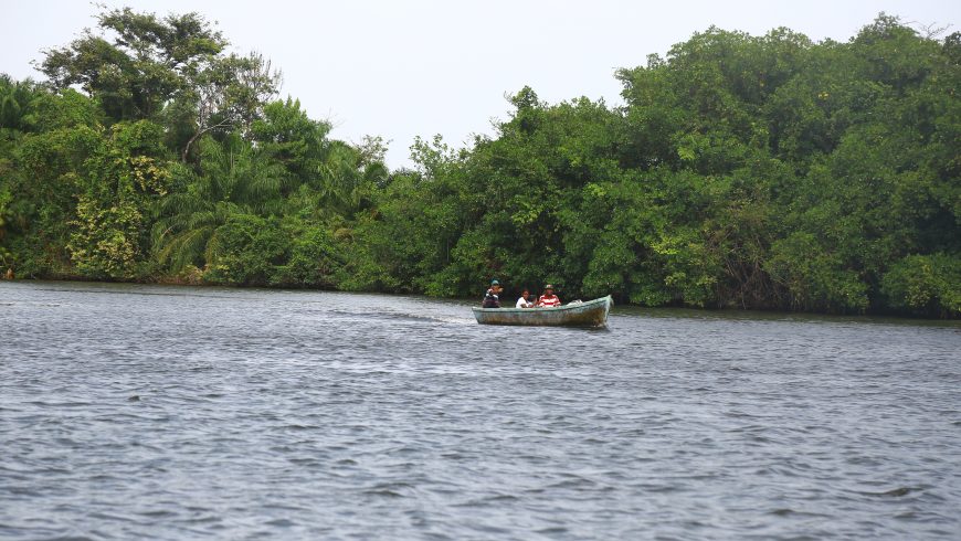 Charla sobre las Emisiones de Dióxido de Carbono por Deforestación y Degradación de Bosques en Nicaragua