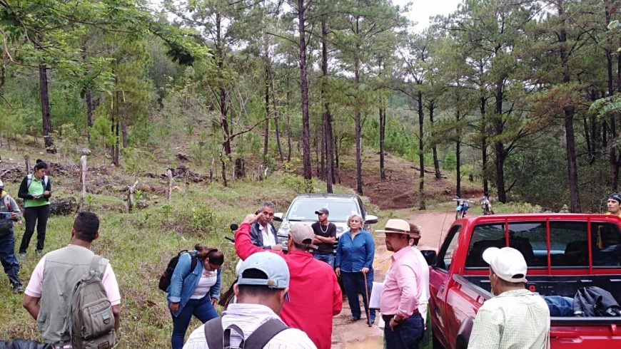 ENCUENTRO CON ESPECIALISTA EN PUEBLOS ANCESTRALES Y CAMBIO CLIMÁTICO