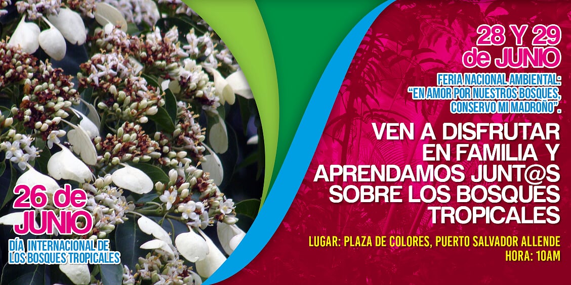 Imagen7.jpg
