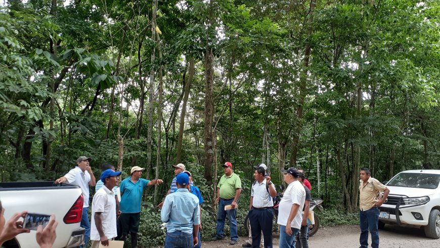 GOBIERNO FORTALECE CAPACIDADES PARA EL MONITOREO DE LA BIODIVERSIDAD