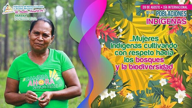 Post-04-Indigenas.jpg
