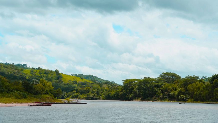 Taller de Consulta sobre el Plan de Distribución de Beneficios Tortuguero