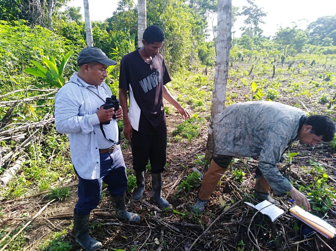 ENDE-REDD-MONITOREO-BIOSDIVERSIDAD-04.jpg