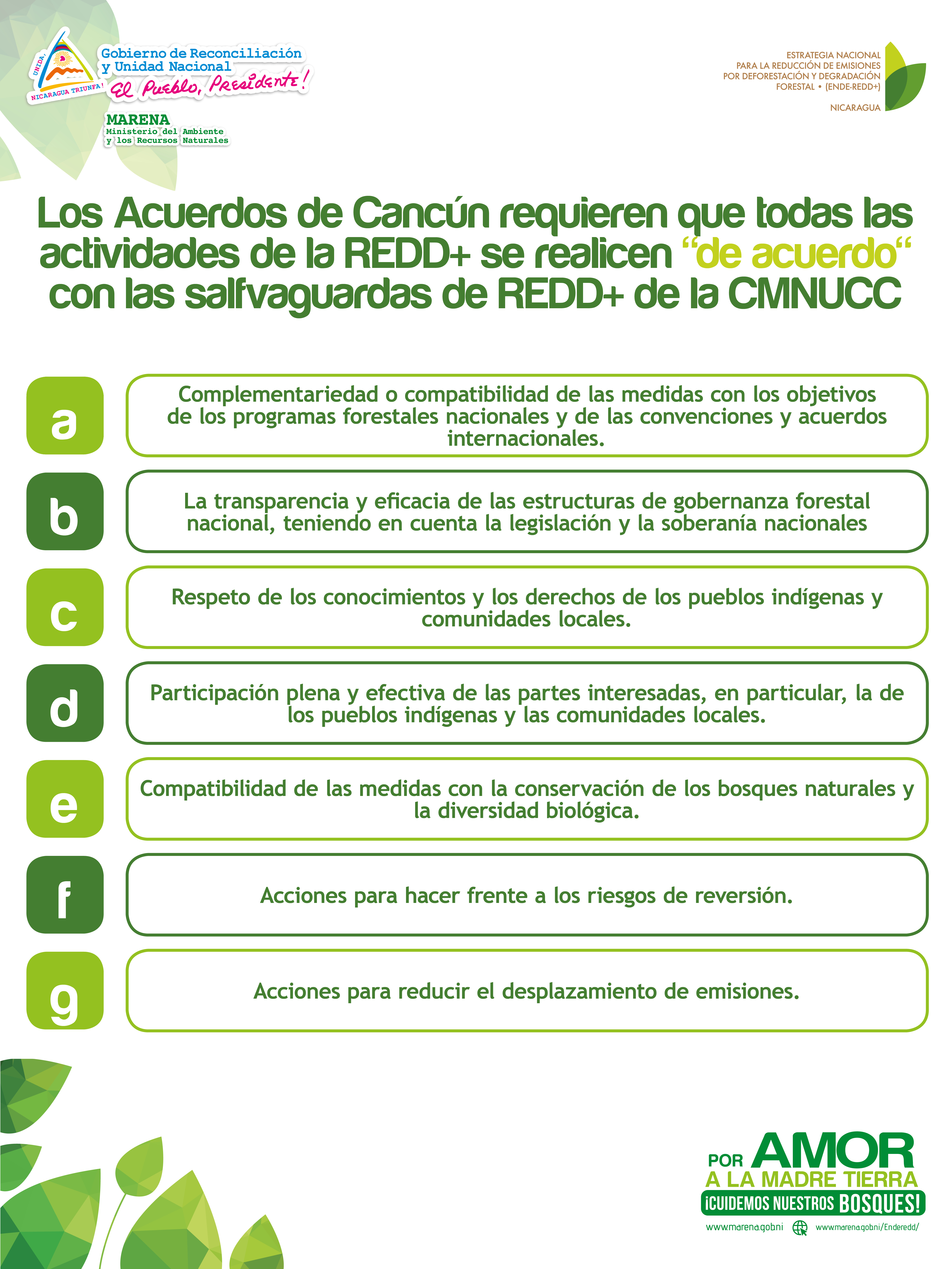 Salvaguardas REDD+