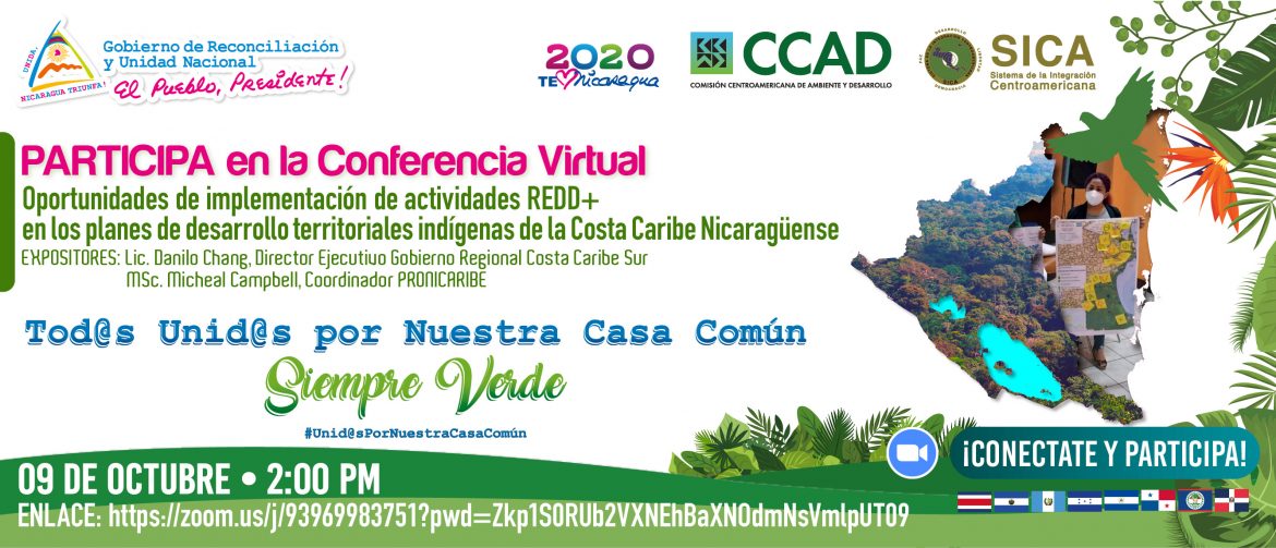 01-adds-1280x550-implementacion-reddindigenas.jpg
