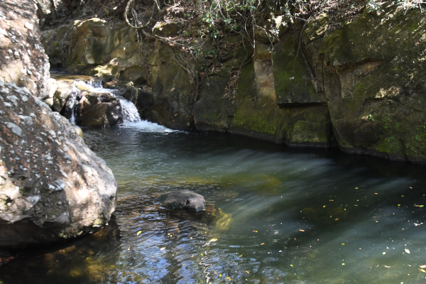 Cerro Cumaica Cerro Alegre