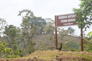 Demarcacion_CerroMusun-11
