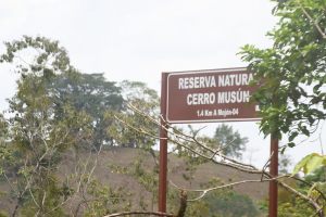 Demarcacion_CerroMusun-1