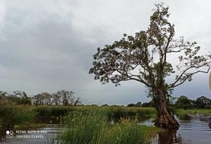 TesorosNaturales_LosGuatusos-24