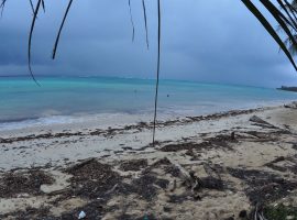 Corn_Island_12